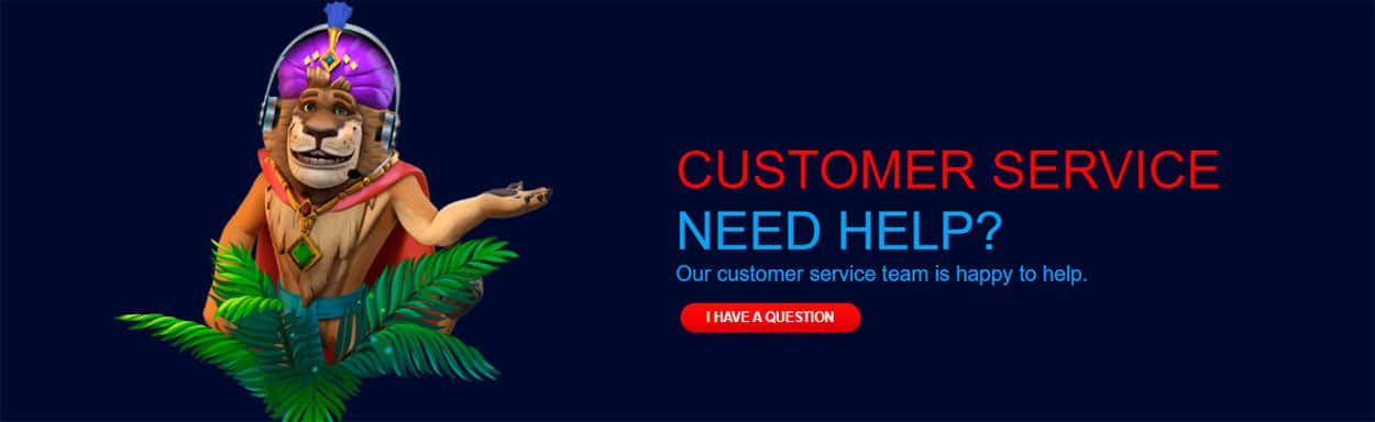 customer service jungleraja